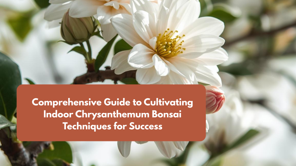Comprehensive Guide to Cultivating Indoor Chrysanthemum Bonsai Techniques for Success