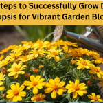 Dwarf Coreopsis, Growing Flowering Plants, Beginner Garden Flowers, Low Maintenance Garden Plants, Vibrant Garden Blooms, Home Flower Gardening