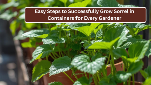 Easy Steps to Successfully Grow Sorrel in Containers for Every Gardener