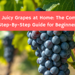 Grow Juicy Grapes at Home: The Complete Step-By-Step Guide for Beginners