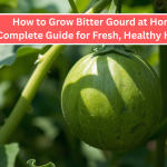 How to Grow Bitter Gourd at Home: A Complete Guide for Fresh, Healthy Harvests