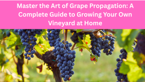 Master the Art of Grape Propagation: A Complete Guide to Growing Your Own Vineyard at Home