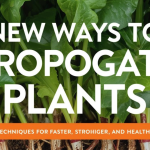 New Ways to Propagate Plants: Modern Techniques for Faster, Stronger, and Healthier Growth