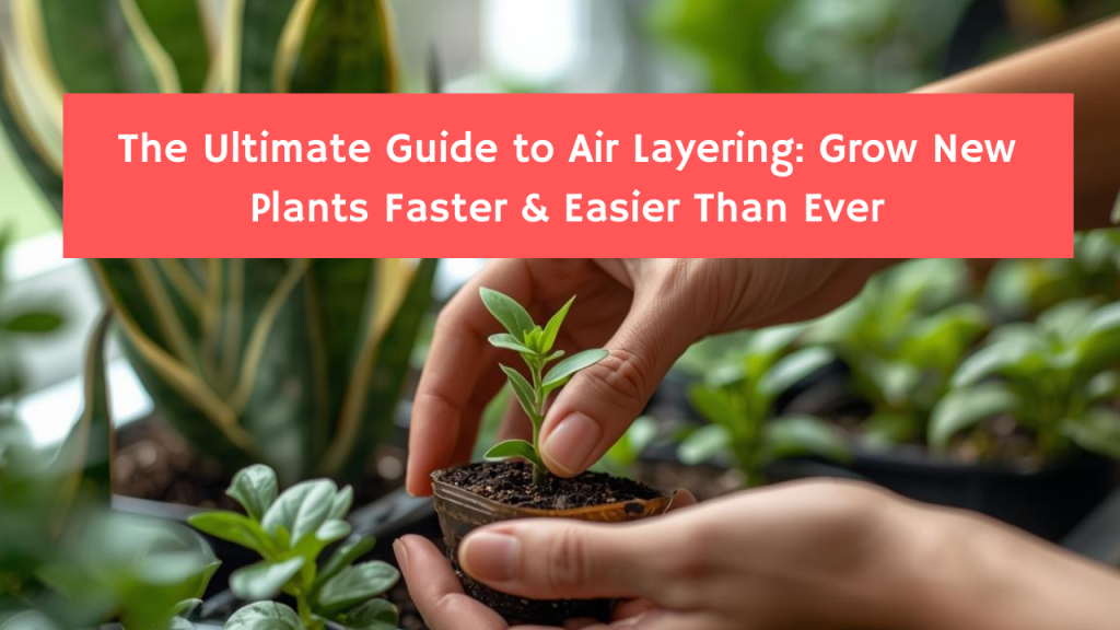 The Ultimate Guide to Air Layering: Grow New Plants Faster & Easier Than Ever