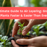 The Ultimate Guide to Air Layering: Grow New Plants Faster & Easier Than Ever