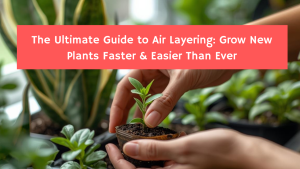 The Ultimate Guide to Air Layering: Grow New Plants Faster & Easier Than Ever