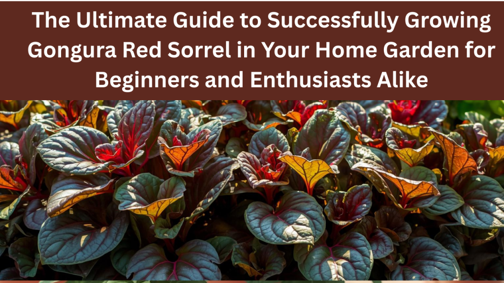 The Ultimate Guide to Successfully Growing Gongura Red Sorrel in Your Home Garden for Beginners and Enthusiasts Alike