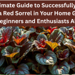 The Ultimate Guide to Successfully Growing Gongura Red Sorrel in Your Home Garden for Beginners and Enthusiasts Alike