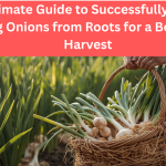 The Ultimate Guide to Successfully Growing Spring Onions from Roots for a Bountiful Harvest