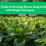 Ultimate Guide to Growing Sarson Saag at Home with Simple Techniques
