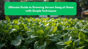 Ultimate Guide to Growing Sarson Saag at Home with Simple Techniques